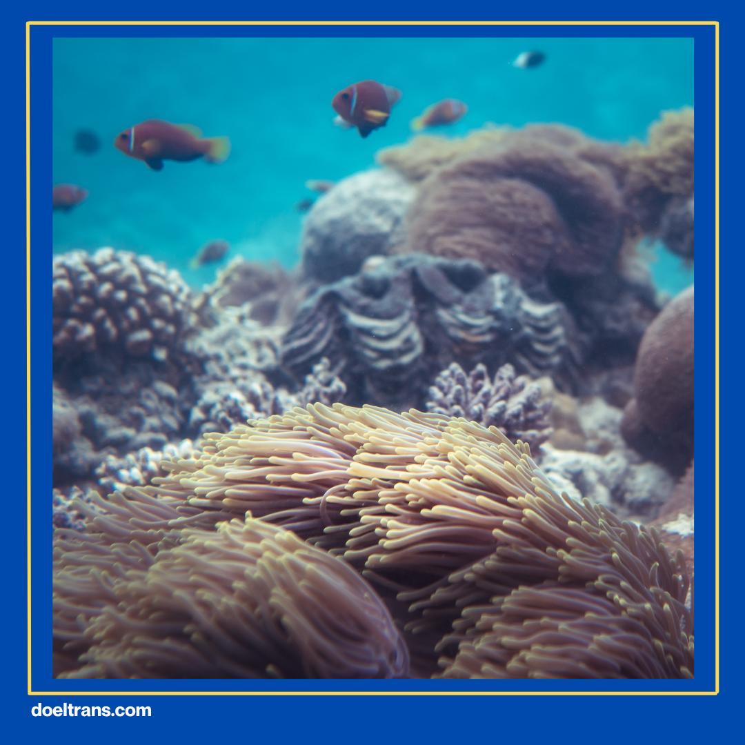 Jakarta Aquarium dan Safari.
