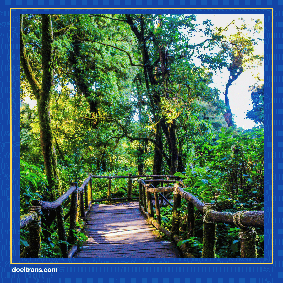 Taman Wisata Alam Angke Kapuk.