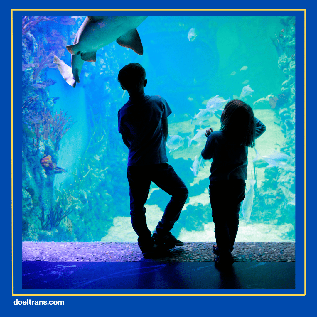 Zona Interaktif dan Edukasi Wisata Aquarium.