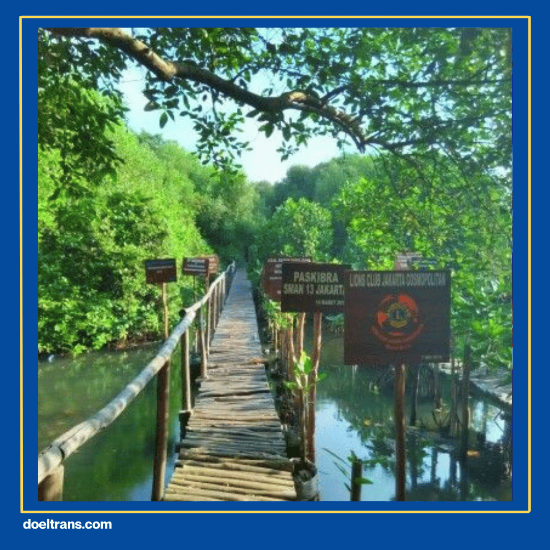 Hutan Mangrove Pantai Indah Kapuk (PIK).