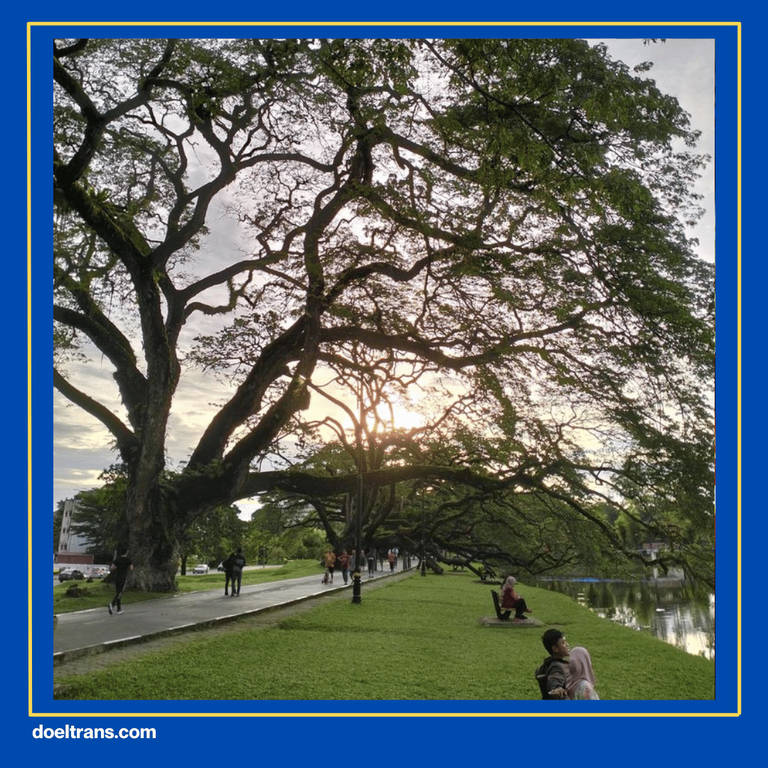 Taman Spathodea.