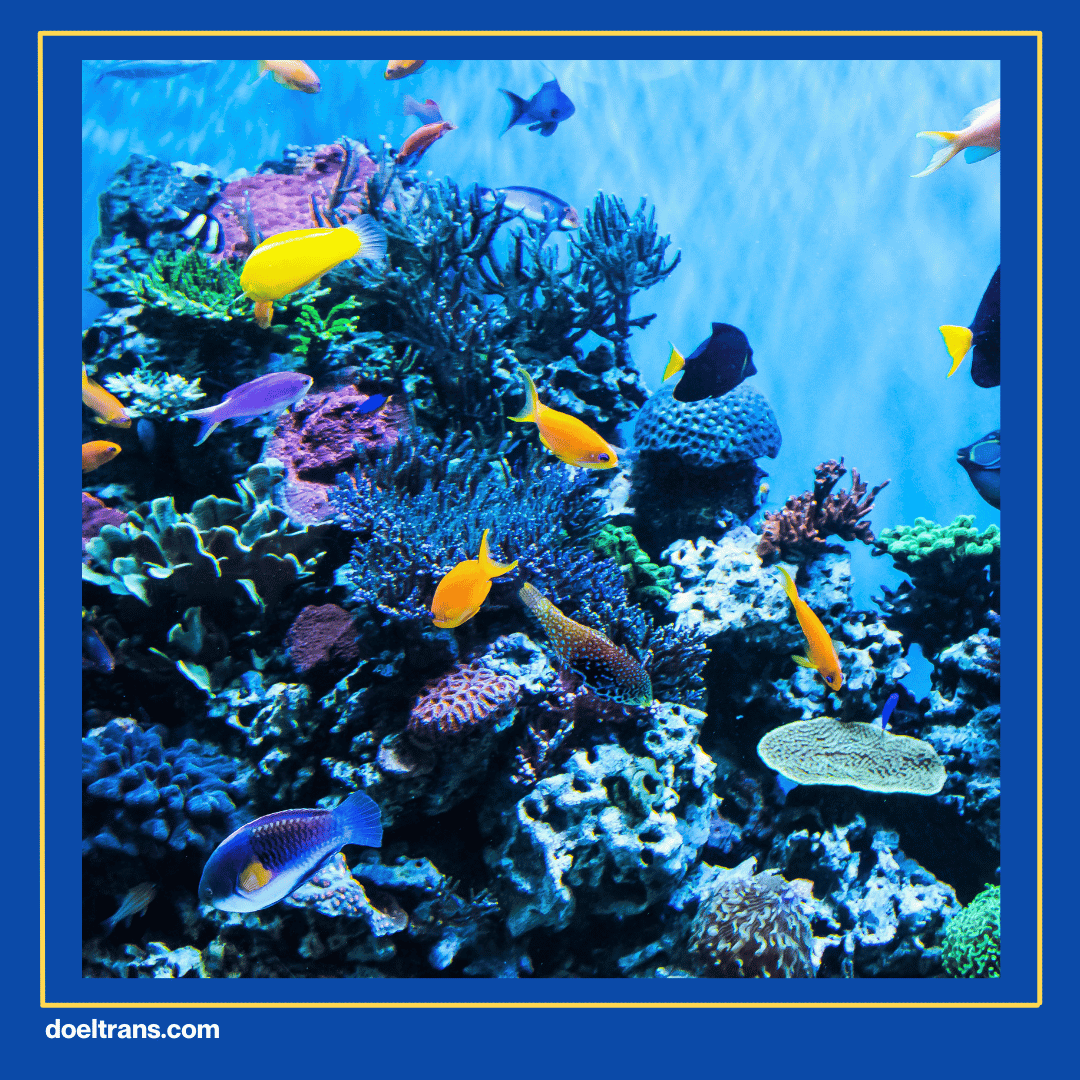 Jakarta Aquarium dan Safari di Jakarta.