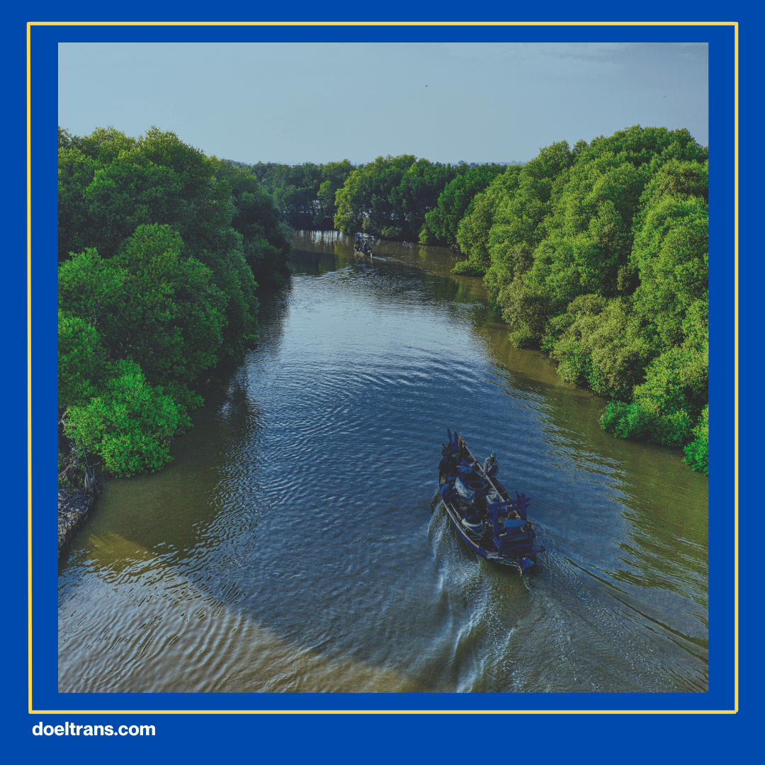 Menyusuri Hutan dengan Perahu.