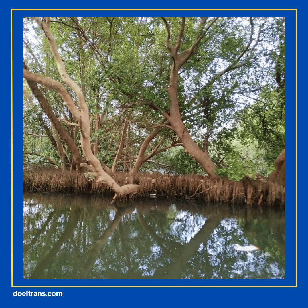 Taman Wisata Alam Mangrove, PIK Wisata di Jakarta.