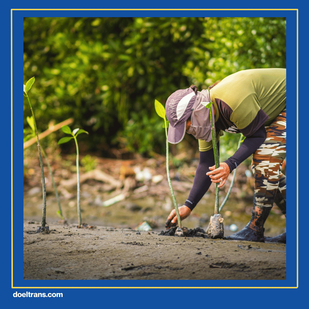 Aktivitas Wisata Seru