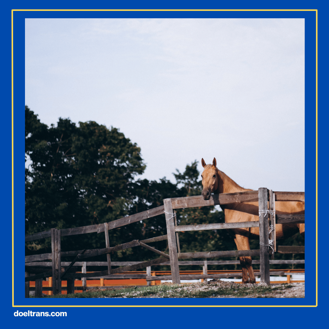 Branchsto Equestrian Park