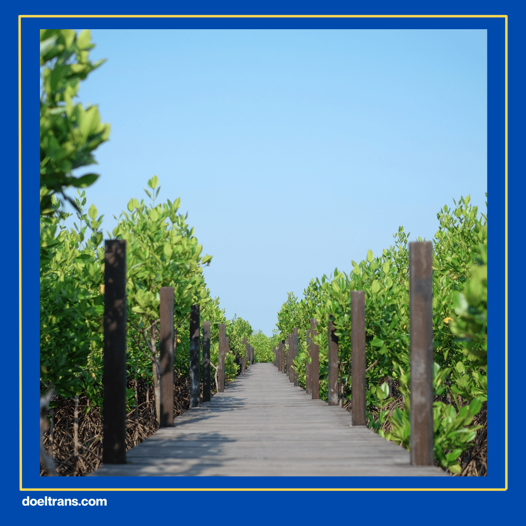 Keindahan Alam Memukau