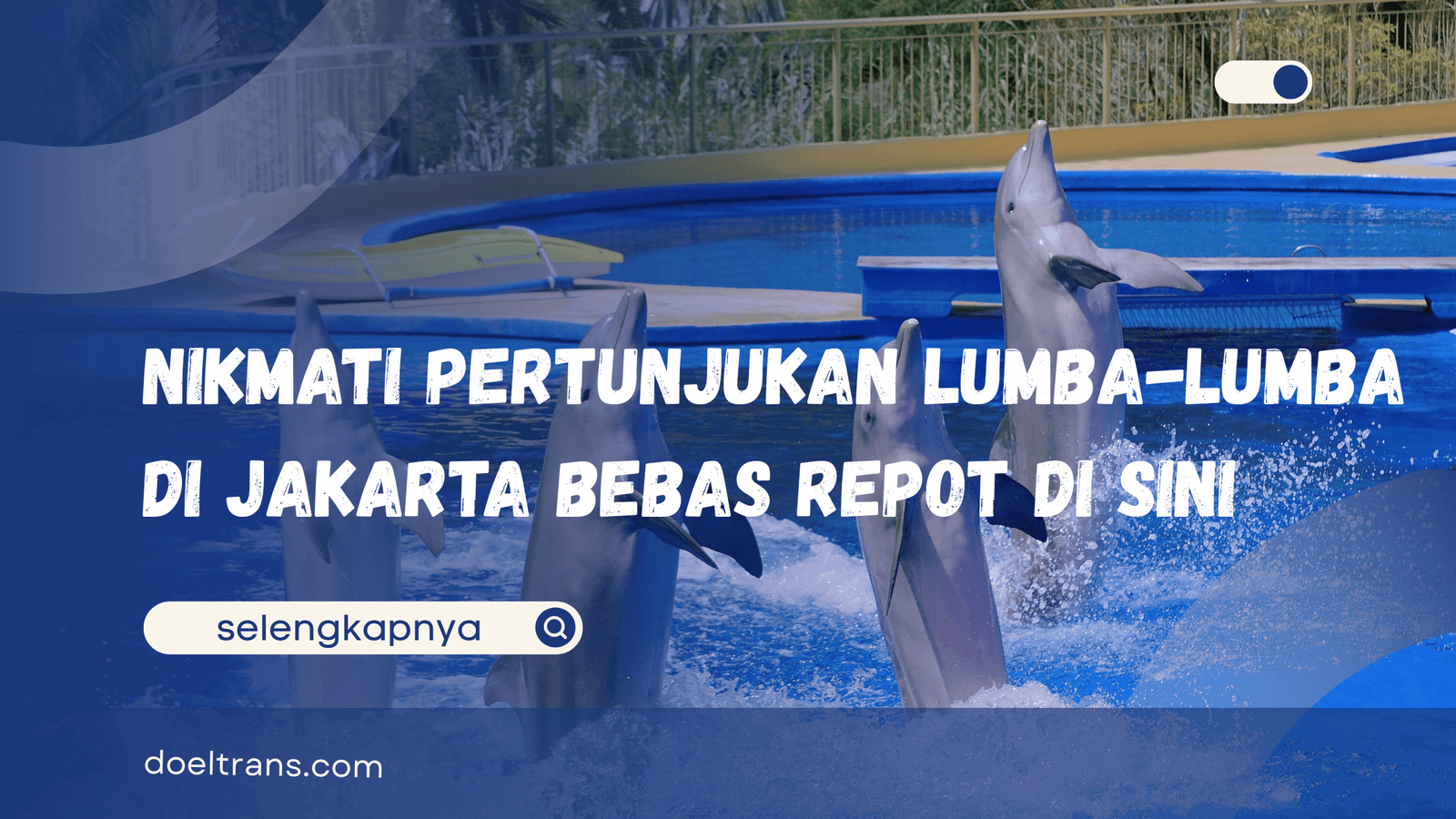 Pertunjukan Lumba-Lumba di Jakarta