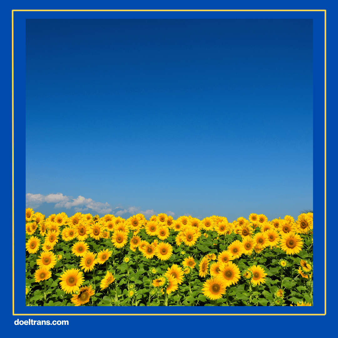 Sunflower Garden Bumi Indah