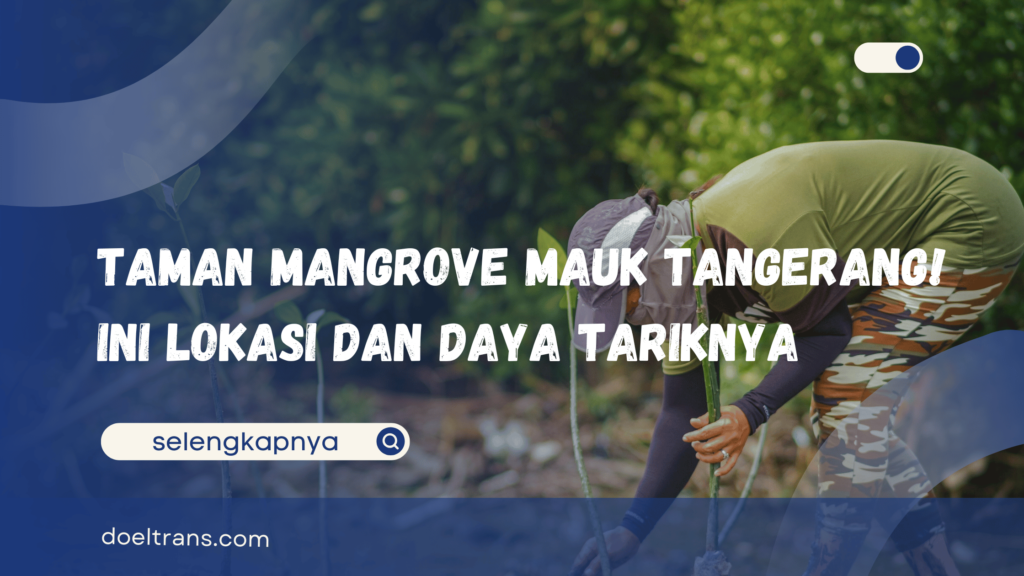 Taman Mangrove Mauk Tangerang