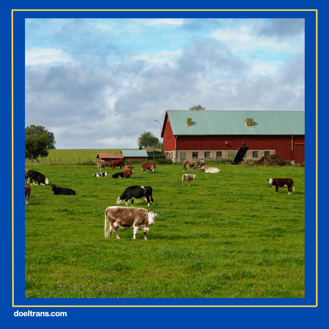 BFC Mini Farm (Bintaro Farm Center)