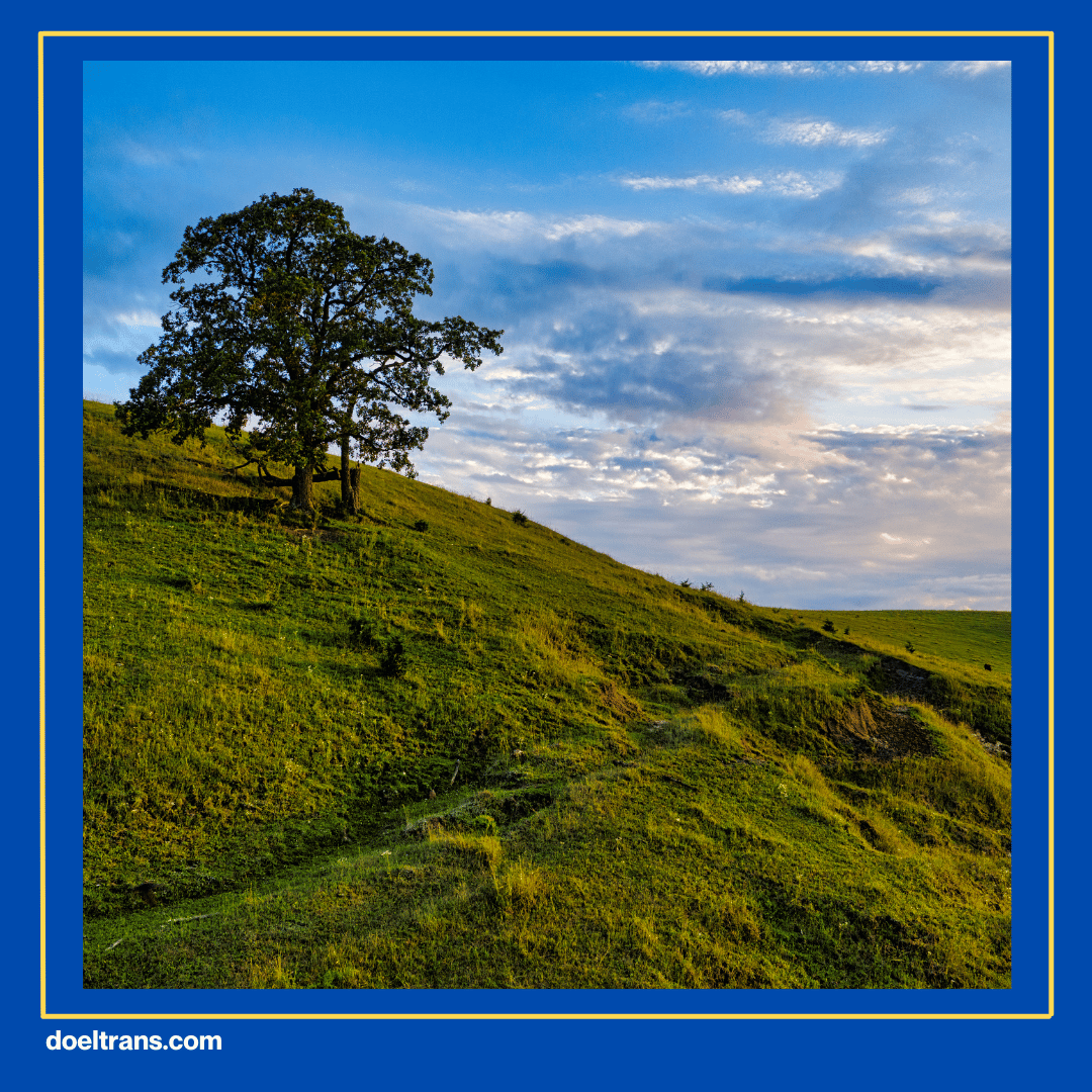 Bukit Zaitun by Gowes GKY