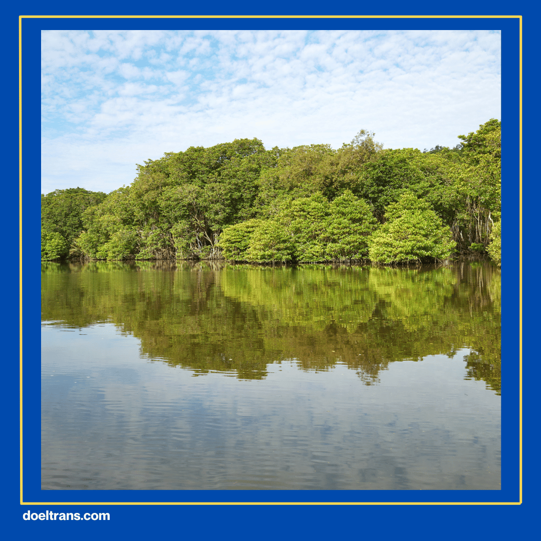 Menikmati Suasana di Tepi Sungai