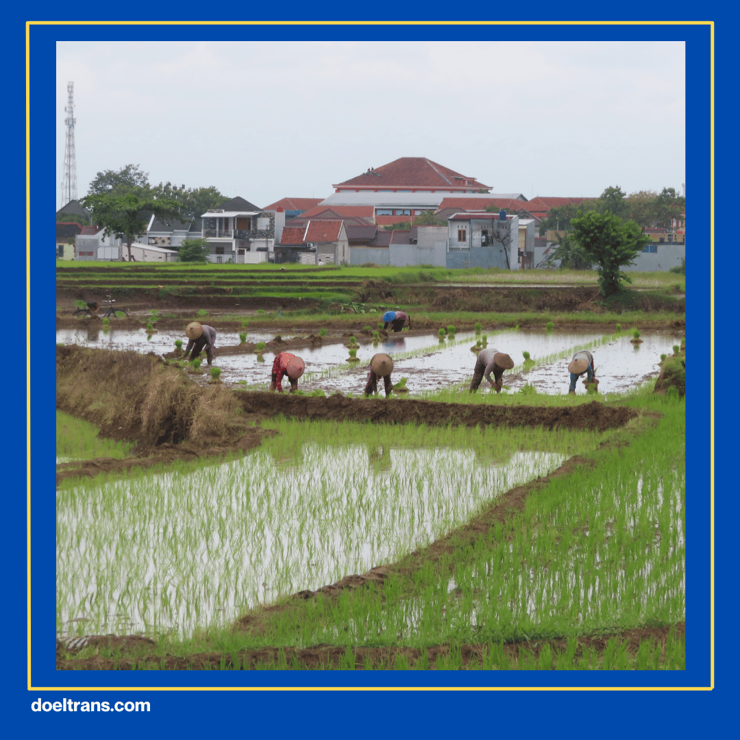 Beraktivitas dan Berinteraksi