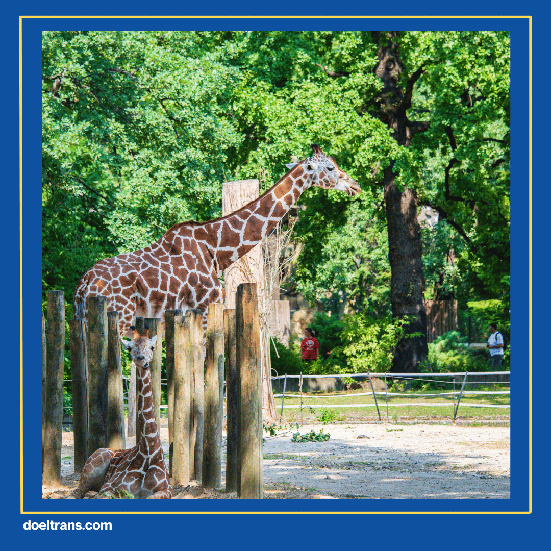 Bermain di Jasmine Park