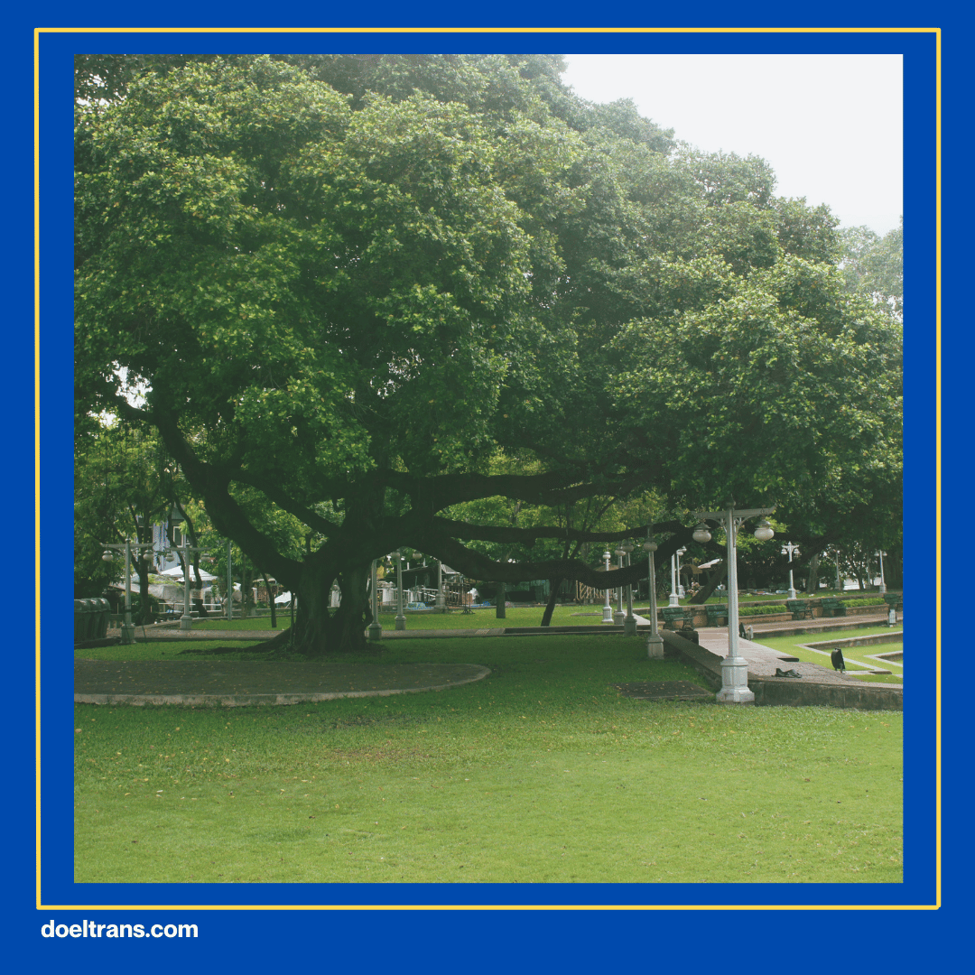 Bersantai di Ruang Terbuka