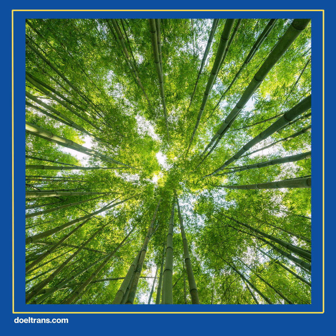 Kandank Jurank Doank