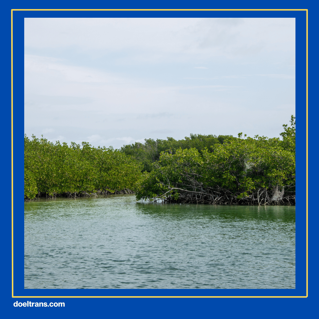 Pantai Mangrove Teluknaga