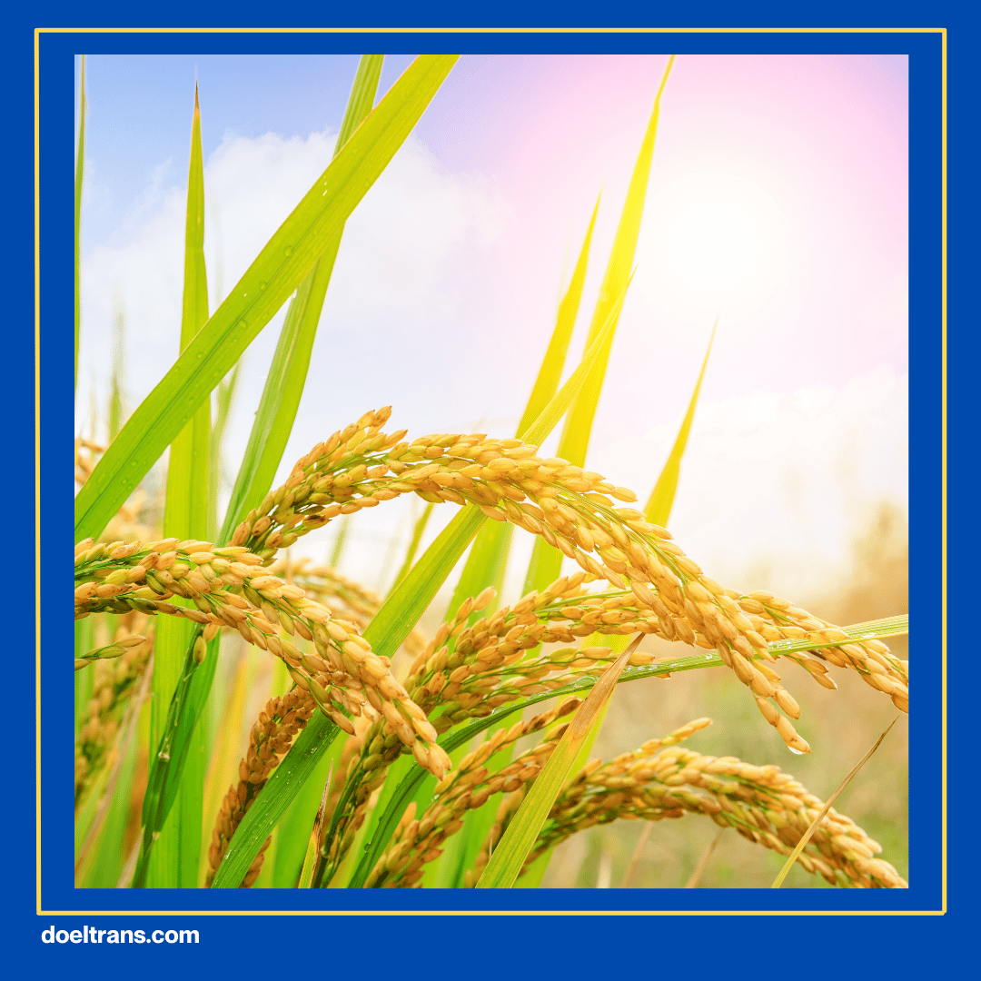 Pilih Waktu dan Rencanakan