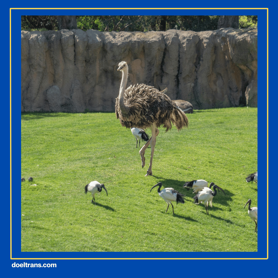 Taman Alam dan Rekreasi yang Asyik