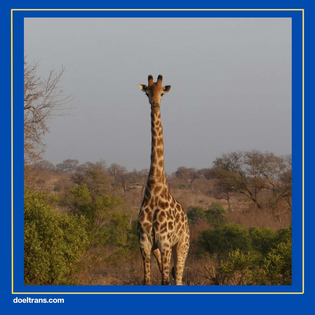 Taman Safari Indonesia Bogor