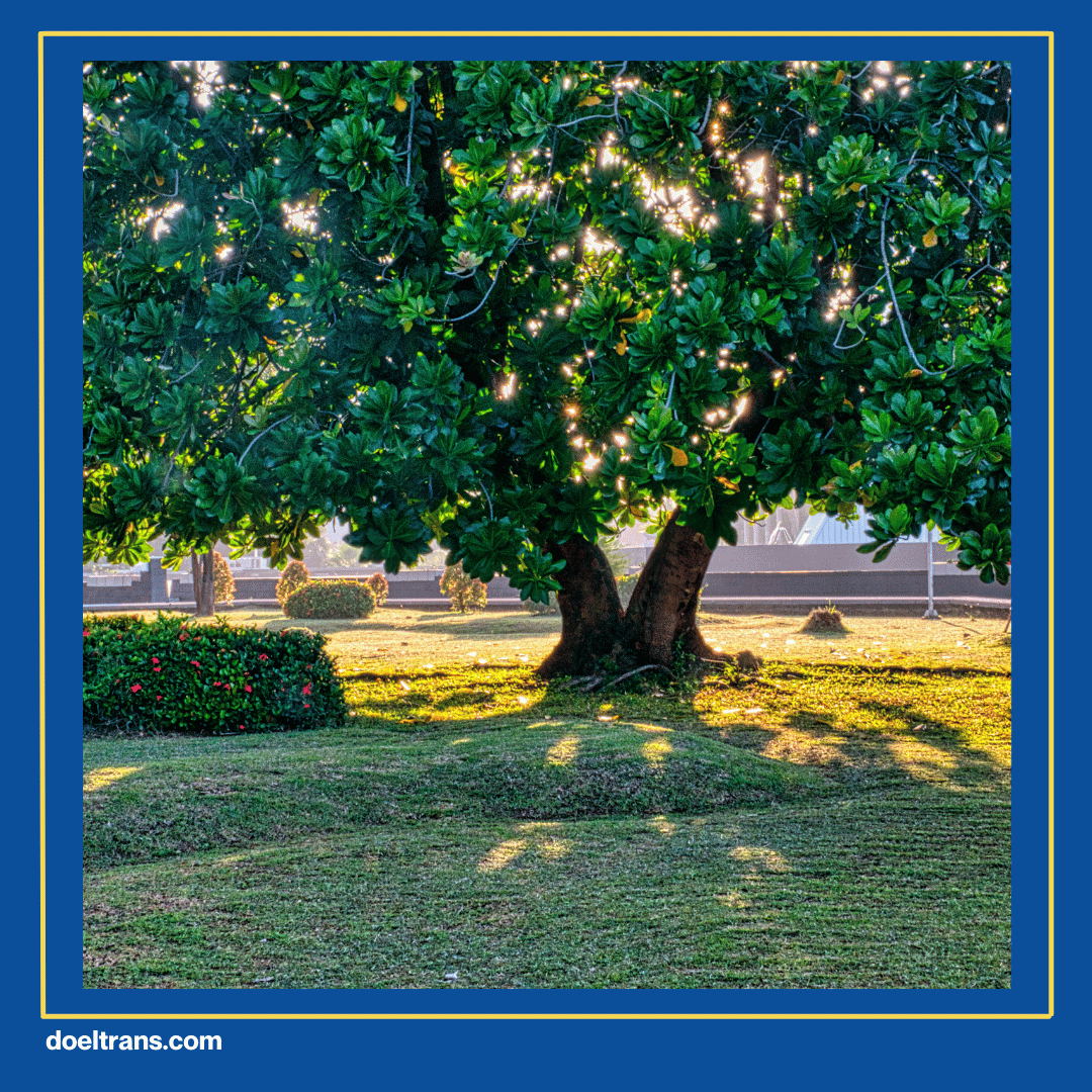 Taman Tematik dan Spot Foto Estetik