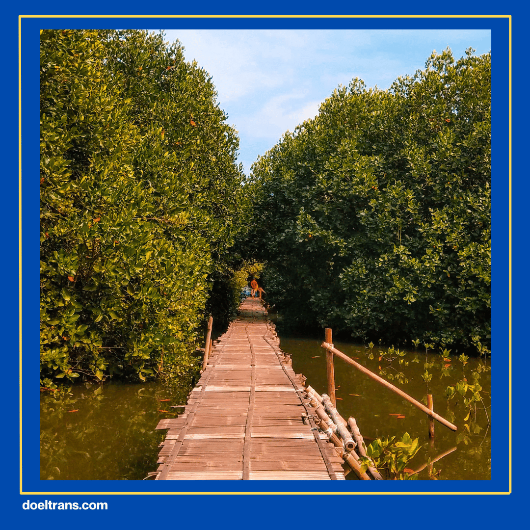 Destinasi Berwisata Ala Edukasi