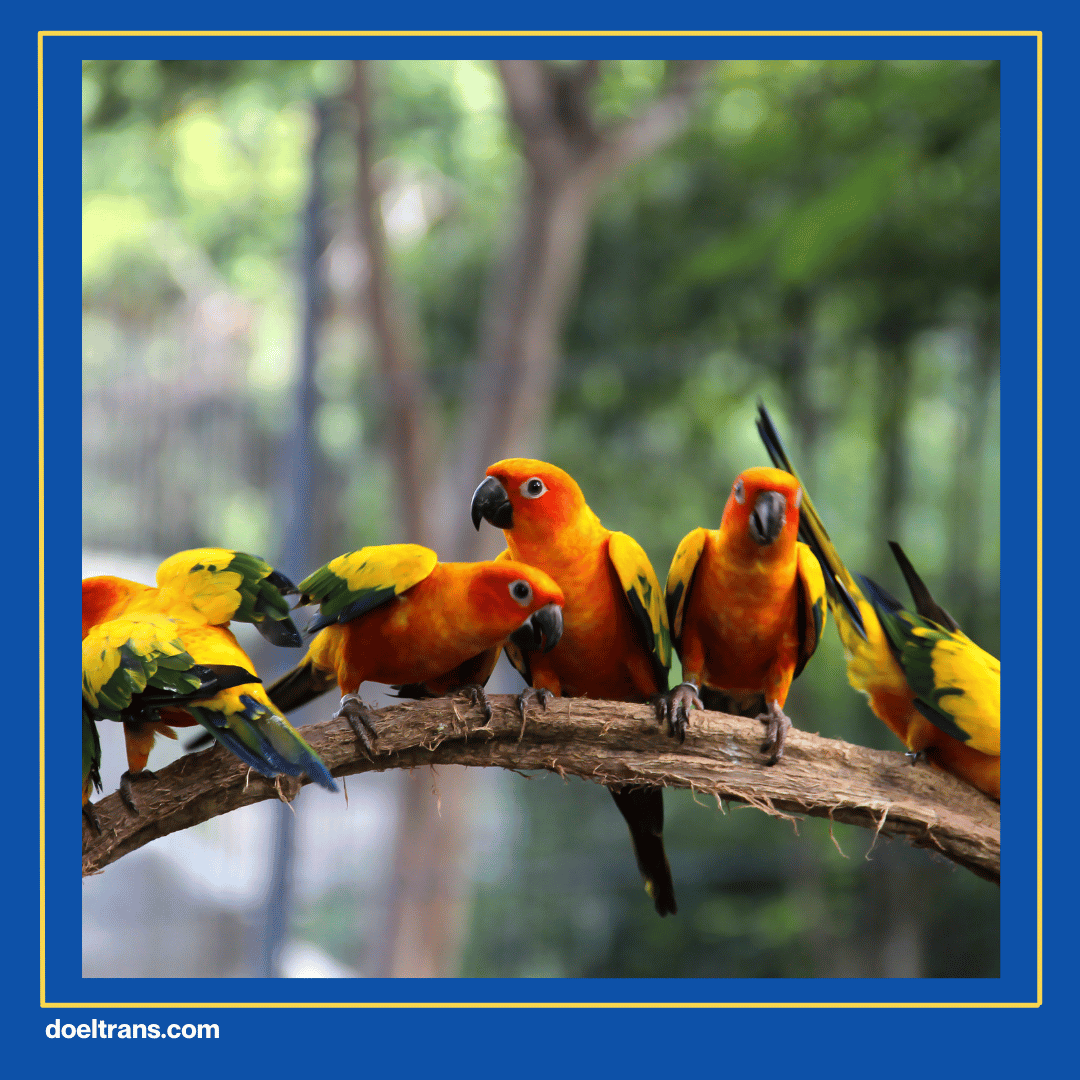 Wisata di Taman Burung Kota Tangerang