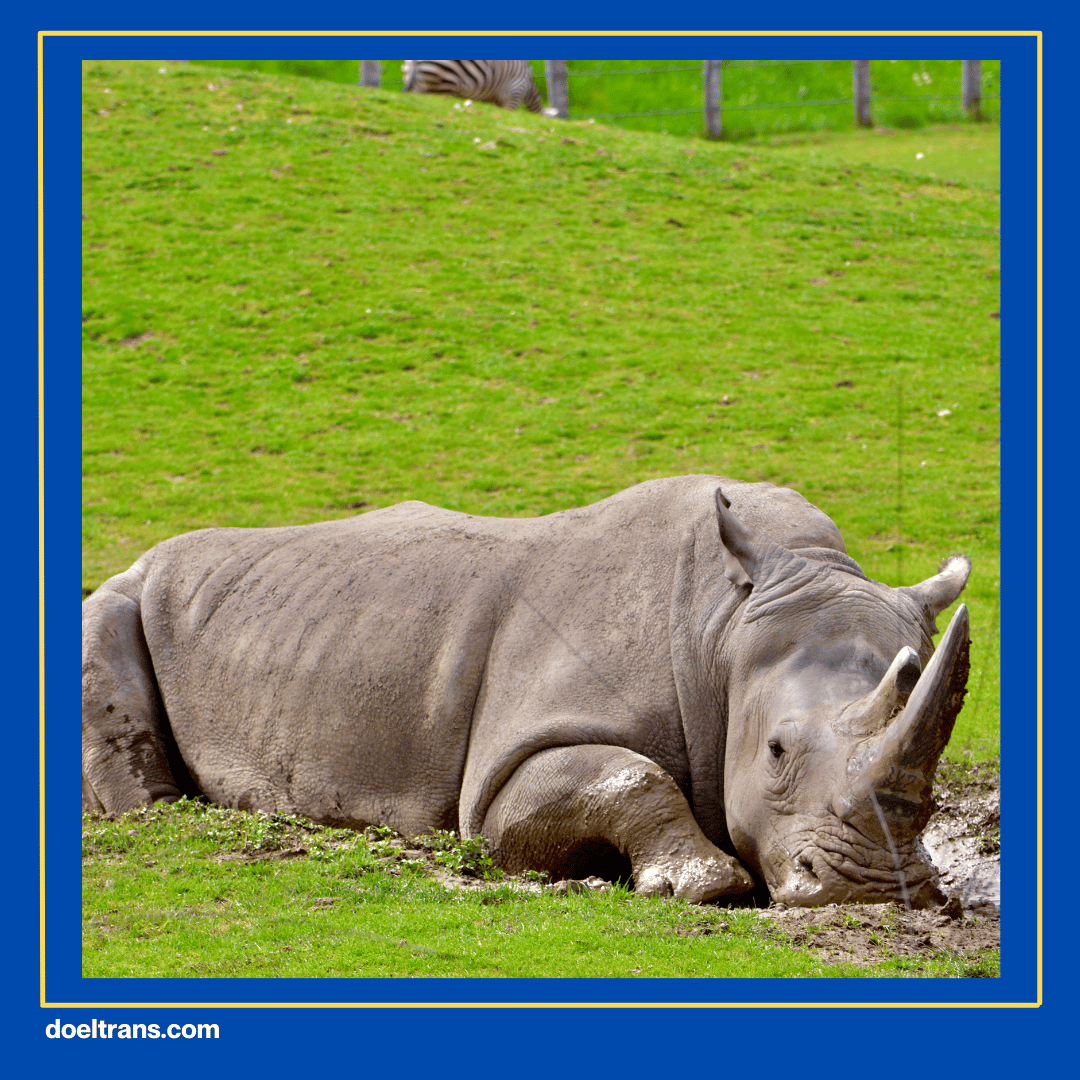 Taman Nasional Ujung Kulon