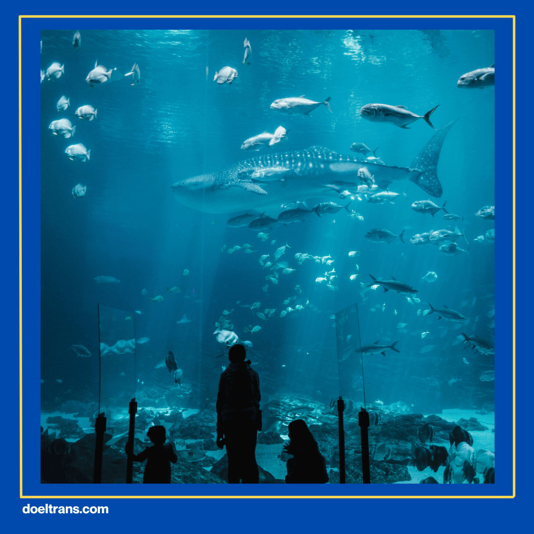 Jakarta Aquarium dan Safari