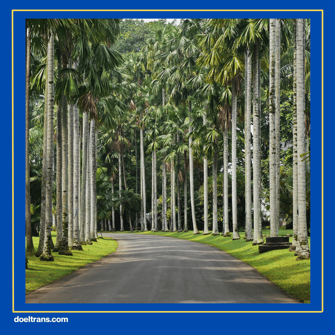 Kebun Raya Bogor