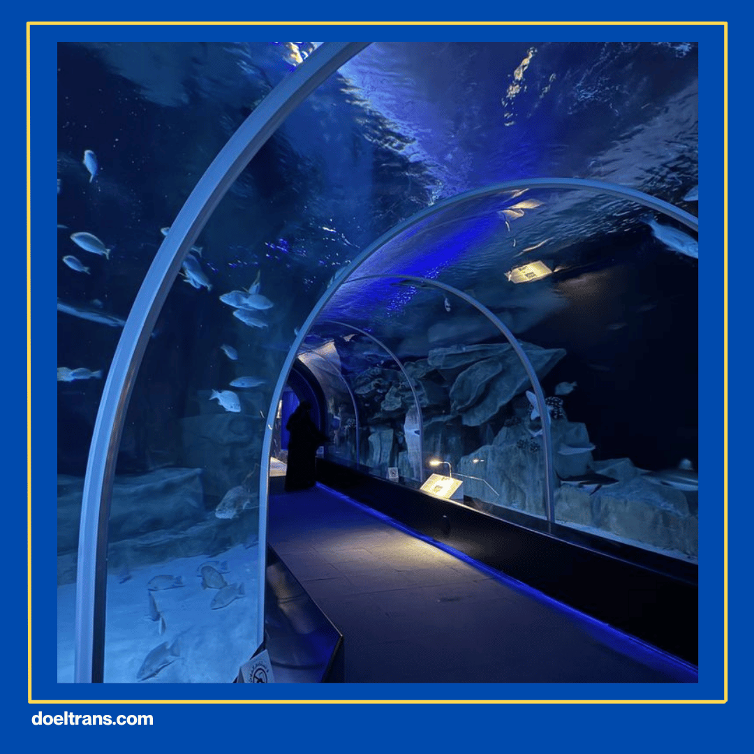 Aquatic Palace