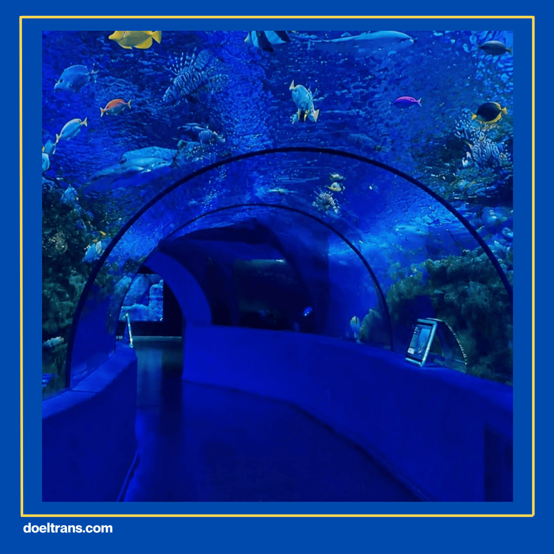 Dream Aquarium