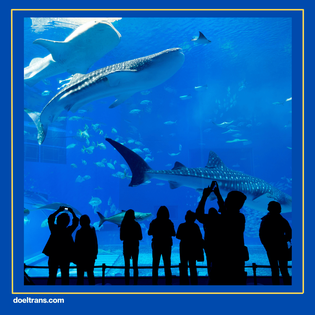 Jakarta Aquarium dan Safari