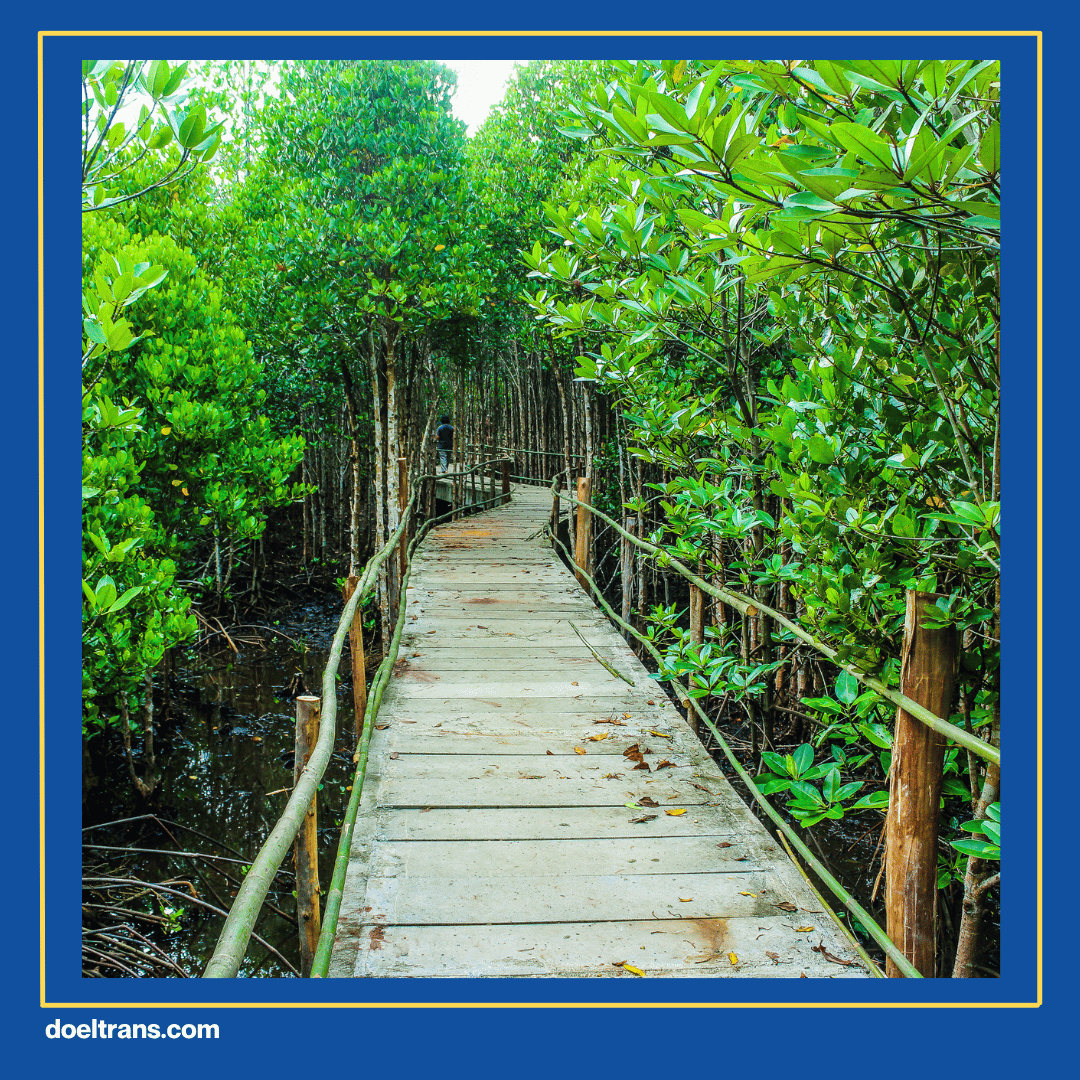 Taman Wisata Alam Mangrove PIK