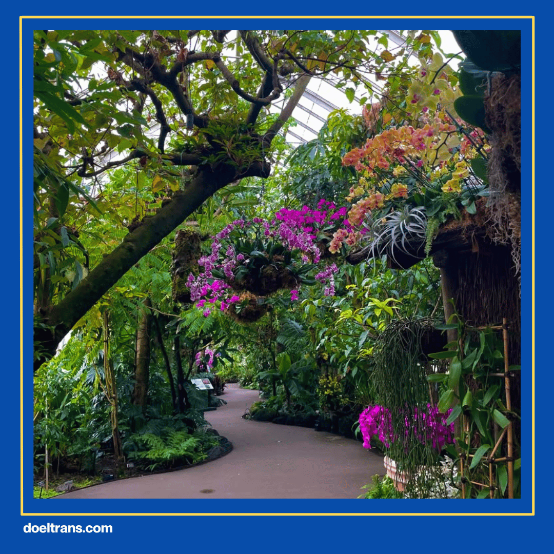 Taman Anggrek Ragunan