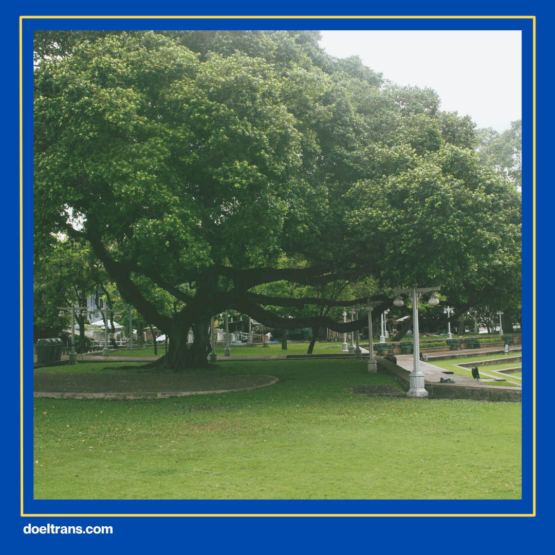 Taman Kota BSD